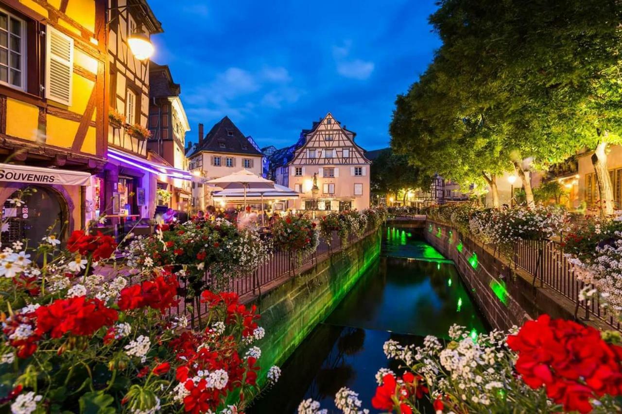 Au Petit Bonheur Charmant Gite Colmar オルブール エクステリア 写真